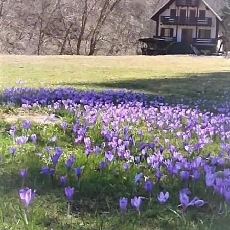Casa De Vacanta Satic Piatra Craiului La Doi Viermi المظهر الخارجي الصورة