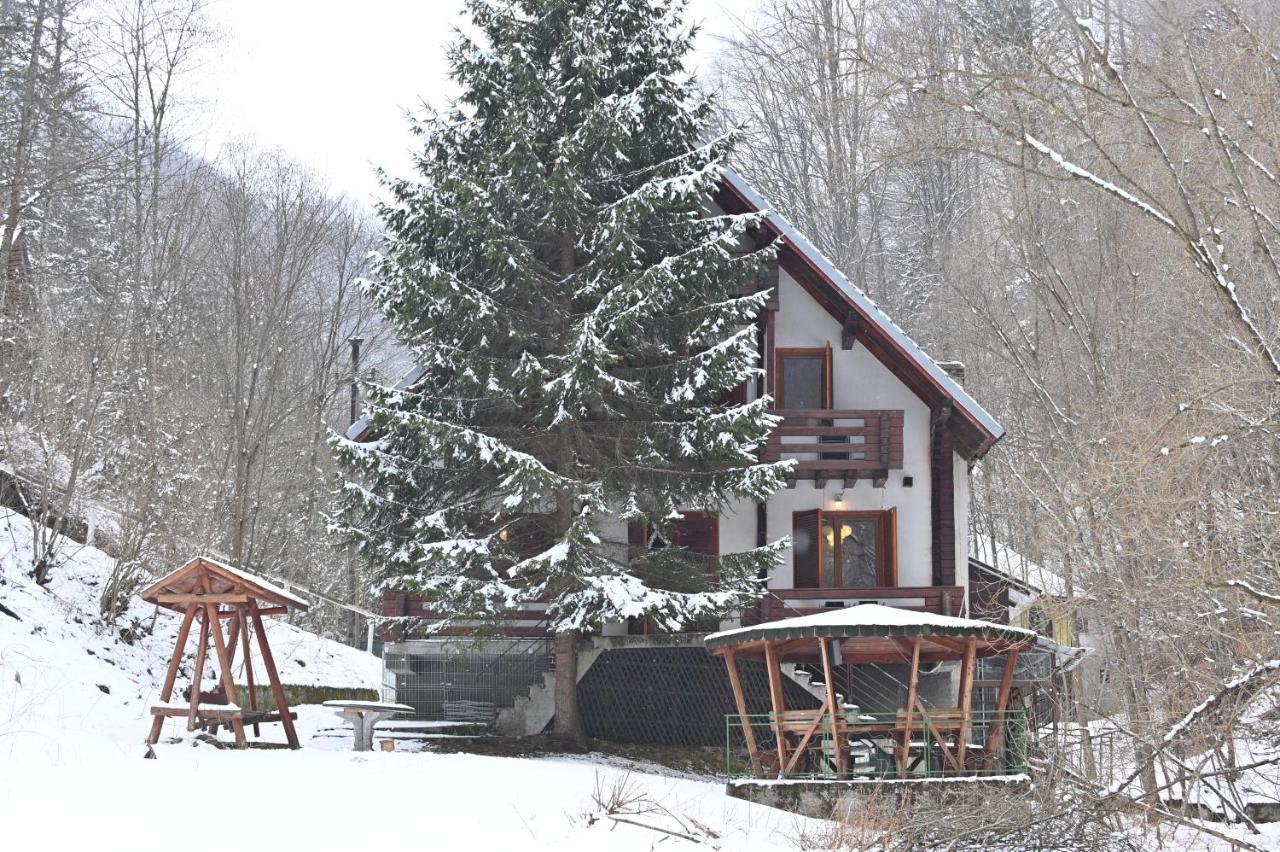 Casa De Vacanta Satic Piatra Craiului La Doi Viermi المظهر الخارجي الصورة