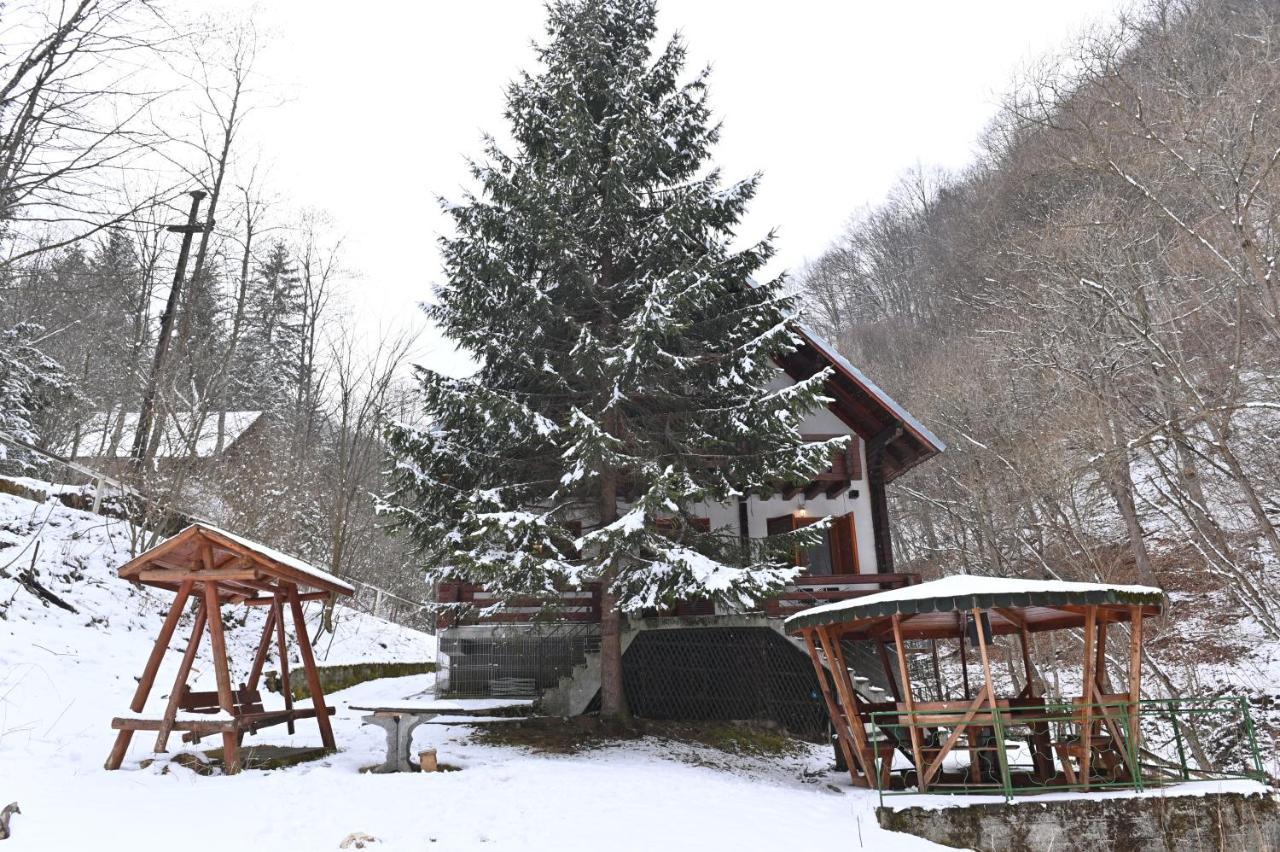 Casa De Vacanta Satic Piatra Craiului La Doi Viermi المظهر الخارجي الصورة