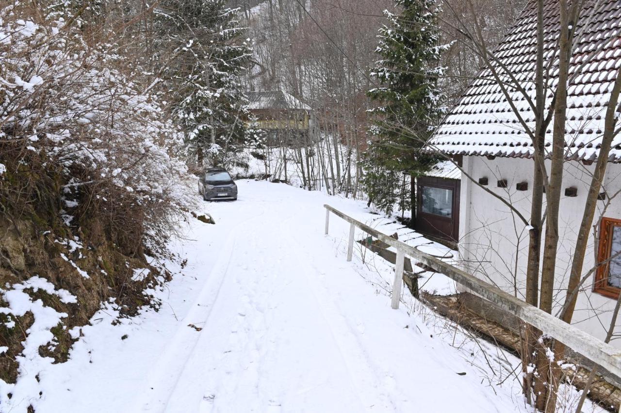 Casa De Vacanta Satic Piatra Craiului La Doi Viermi المظهر الخارجي الصورة