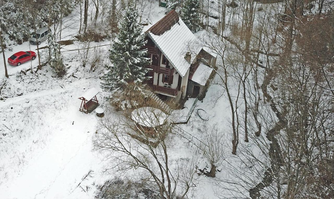 Casa De Vacanta Satic Piatra Craiului La Doi Viermi المظهر الخارجي الصورة