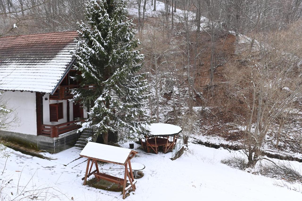 Casa De Vacanta Satic Piatra Craiului La Doi Viermi المظهر الخارجي الصورة