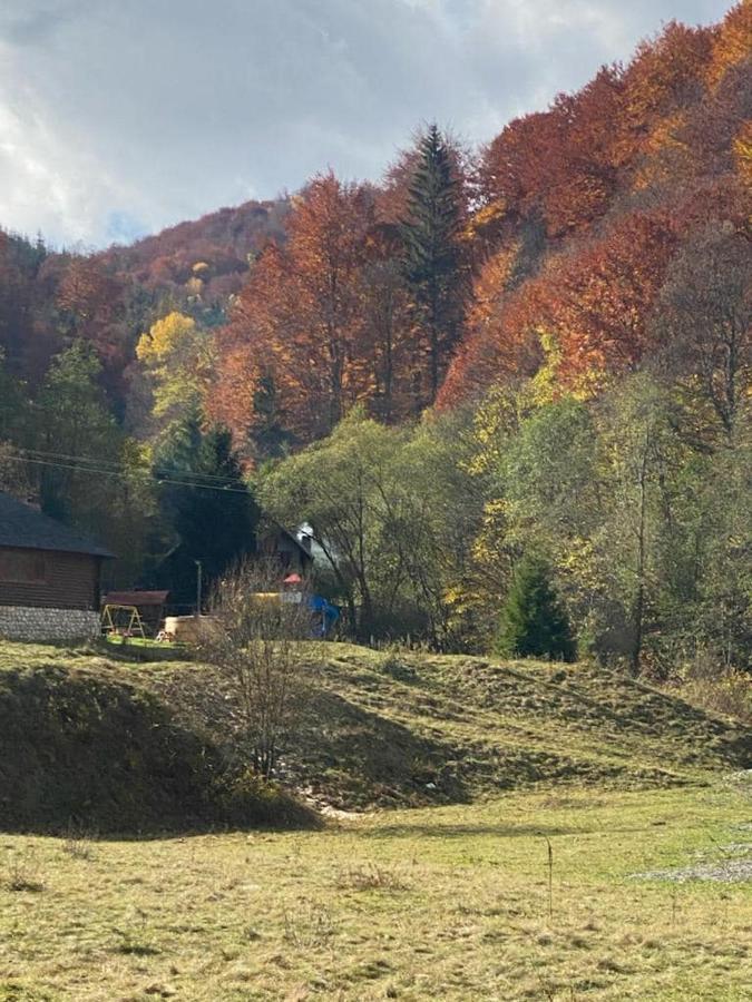 Casa De Vacanta Satic Piatra Craiului La Doi Viermi المظهر الخارجي الصورة
