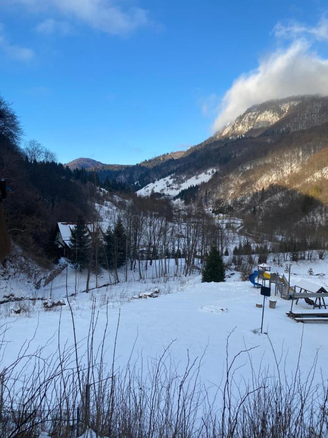 Casa De Vacanta Satic Piatra Craiului La Doi Viermi المظهر الخارجي الصورة