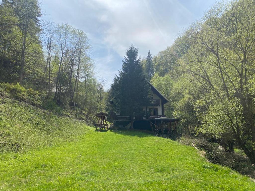 Casa De Vacanta Satic Piatra Craiului La Doi Viermi المظهر الخارجي الصورة