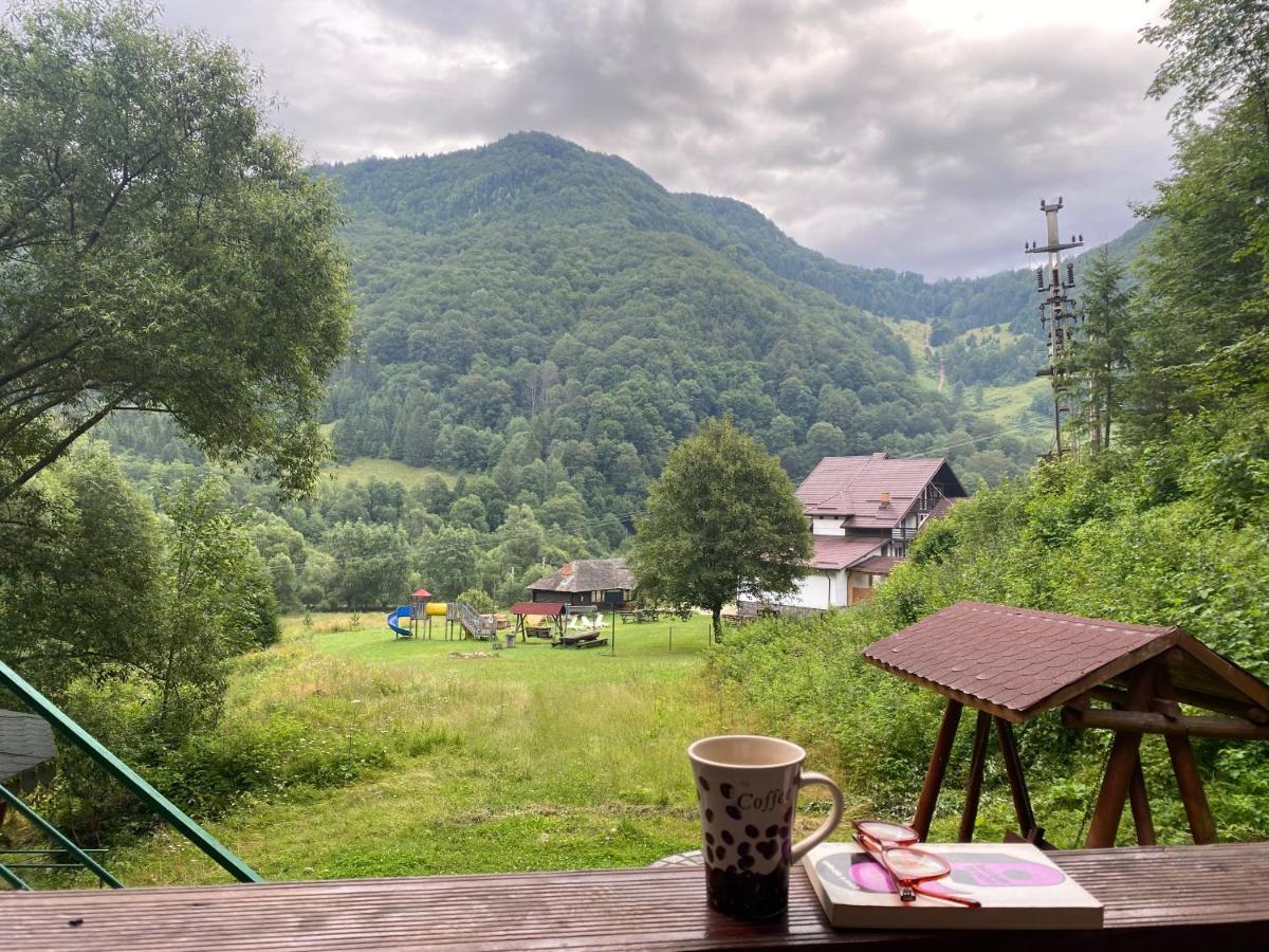 Casa De Vacanta Satic Piatra Craiului La Doi Viermi المظهر الخارجي الصورة