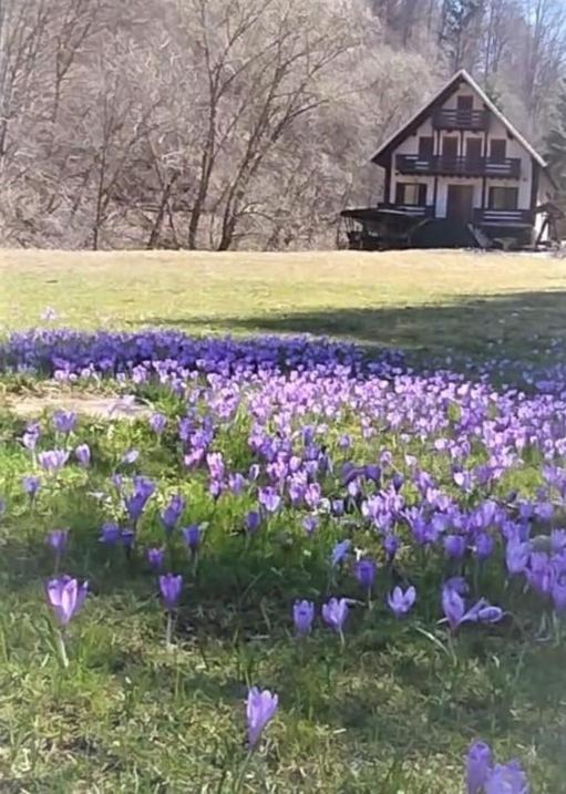 Casa De Vacanta Satic Piatra Craiului La Doi Viermi المظهر الخارجي الصورة